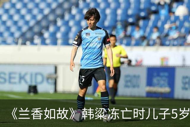 《兰香如故》韩粱冻亡时儿子5岁，林锦岐病亡时儿子13岁，袁绍辉至死无子。后代都没成长起来，但三家都没有没落，林家反倒更上一层楼
