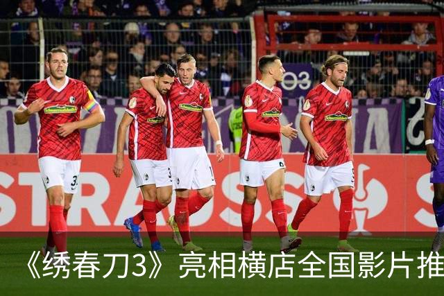 《绣春刀3》亮相横店全国影片推介会 剧情首次公开