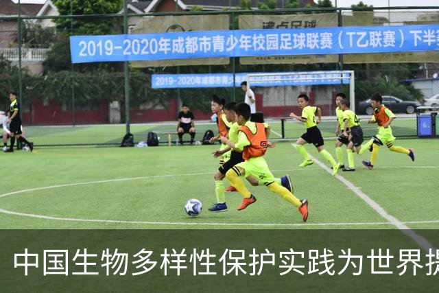 中国生物多样性保护实践为世界提供宝贵启示