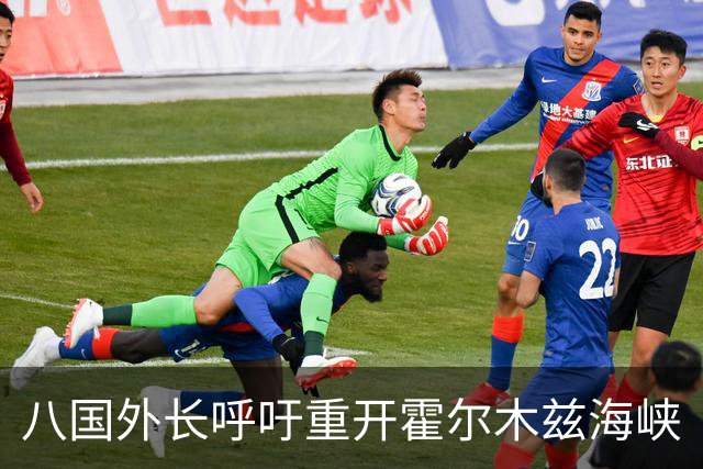 八国外长呼吁重开霍尔木兹海峡