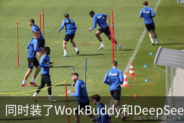 同时装了WorkBuddy和DeepSeek，试用5天之后，我卸载了其中一个