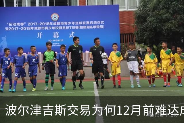 波尔津吉斯交易为何12月前难达成？美记点出两大障碍