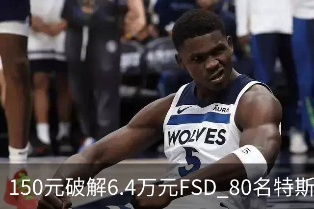 150元破解6.4万元FSD 80名特斯拉车主被移送检方